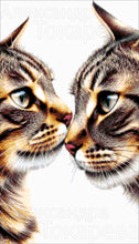 Lade das Bild in den Galerie-Viewer, Stickpackung mit Perlen "Katzenpaar"