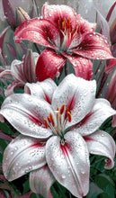 Lade das Bild in den Galerie-Viewer, Stickpackung mit Perlen "Lilien mit Tautropfen"