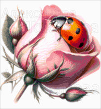 Lade das Bild in den Galerie-Viewer, Stickpackung mit Perlen "Marienkäfer und Rose"