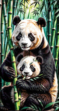 Lade das Bild in den Galerie-Viewer, Stickpackung mit Perlen "Pandas im Bambuswald"