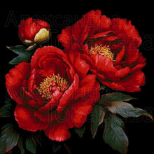 Lade das Bild in den Galerie-Viewer, Stickpackung mit Perlen "Rote Pfingstrosen"
