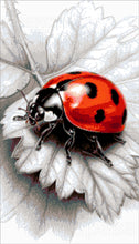 Lade das Bild in den Galerie-Viewer, Stickpackung mit Perlen "Roter Marienkäfer"