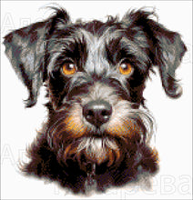 Lade das Bild in den Galerie-Viewer, Stickpackung mit Perlen "Zwergschnauzer"