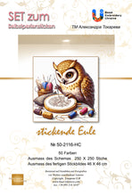 Lade das Bild in den Galerie-Viewer, Stickpackung mit Perlen "stickende Eule"