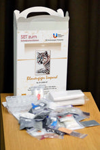 Lade das Bild in den Galerie-Viewer, Stickpackung mit Perlen "Blauäugiger Leopard"