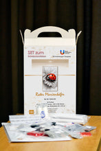 Lade das Bild in den Galerie-Viewer, Stickpackung mit Perlen "Roter Marienkäfer"