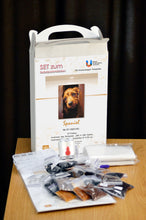 Lade das Bild in den Galerie-Viewer, Stickpackung mit Perlen "Spaniel"