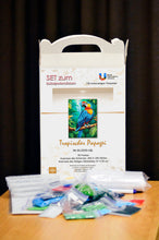 Lade das Bild in den Galerie-Viewer, Stickpackung mit Perlen "Tropischer Papagei"