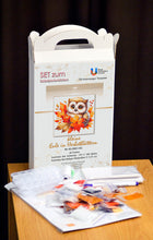 Lade das Bild in den Galerie-Viewer, Stickpackung mit Perlen "kleine Eule in Herbstblättern"