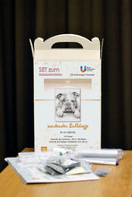 Lade das Bild in den Galerie-Viewer, Stickpackung mit Perlen "wartender Bulldogge"