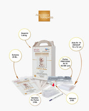 Lade das Bild in den Galerie-Viewer, Stickpackung mit Perlen "Fröhlicher Bichon"