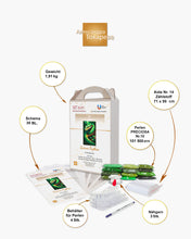 Lade das Bild in den Galerie-Viewer, Stickpackung mit Perlen "Grüner Python"