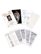 Lade das Bild in den Galerie-Viewer, Stickpackung mit Perlen "Magischer Kater"