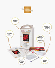 Lade das Bild in den Galerie-Viewer, Stickpackung mit Perlen "Rote Pfingstrosen"