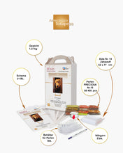 Lade das Bild in den Galerie-Viewer, Stickpackung mit Perlen "Spaniel"