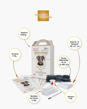 Lade das Bild in den Galerie-Viewer, Stickpackung mit Perlen "Zwergschnauzer"