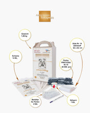 Lade das Bild in den Galerie-Viewer, Stickpackung mit Perlen "wartender Bulldogge"