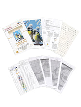 Lade das Bild in den Galerie-Viewer, Stickpackung mit Perlen "Die Meisen warten auf den Frühling"