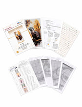 Lade das Bild in den Galerie-Viewer, Stickpackung mit Perlen "Flussotter"