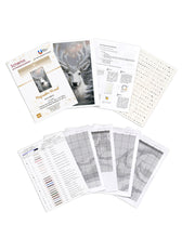Lade das Bild in den Galerie-Viewer, Stickpackung mit Perlen "Magischer Hirsch"