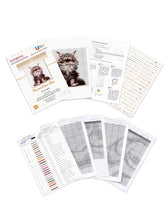 Lade das Bild in den Galerie-Viewer, Stickpackung mit Perlen "Maine-Coon-Star"