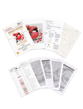 Lade das Bild in den Galerie-Viewer, Stickpackung mit Perlen "Roter Dompfaff"