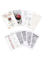 Lade das Bild in den Galerie-Viewer, Stickpackung mit Perlen "Roter Marienkäfer"