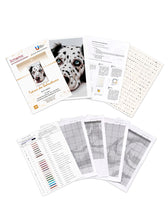 Lade das Bild in den Galerie-Viewer, Stickpackung mit Perlen "Träume des Dalmatiners"