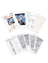 Lade das Bild in den Galerie-Viewer, Stickpackung mit Perlen "Weißer Drache"