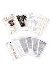 Lade das Bild in den Galerie-Viewer, Stickpackung mit Perlen "Zwergschnauzer"