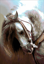 Lade das Bild in den Galerie-Viewer, Stickpackung mit Perlen "Arabisches Sternchen"