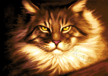 Lade das Bild in den Galerie-Viewer, Stickpackung mit Perlen "Bernstein"