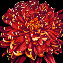 Lade das Bild in den Galerie-Viewer, Stickpackung mit Perlen "Chrysantheme"