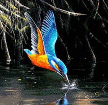 Lade das Bild in den Galerie-Viewer, Stickpackung mit Perlen "Colibri"