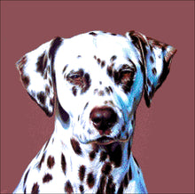 Lade das Bild in den Galerie-Viewer, Stickpackung mit Perlen "Der Dalmatiner"