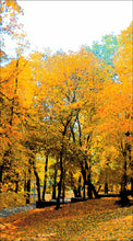 Lade das Bild in den Galerie-Viewer, Stickpackung mit Perlen "Der goldene Herbst"
