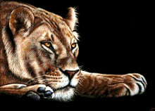 Lade das Bild in den Galerie-Viewer, Stickpackung mit Perlen "Die Löwin"