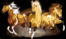 Lade das Bild in den Galerie-Viewer, Stickpackung mit Perlen "Drei Pferde"