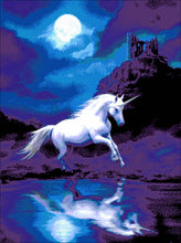 Lade das Bild in den Galerie-Viewer, Stickpackung mit Perlen "Eine fabelhafte Nacht"