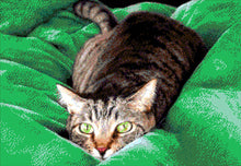 Lade das Bild in den Galerie-Viewer, Stickpackung mit Perlen "Erfolgreiche Jagd"