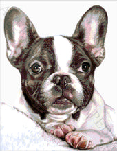 Lade das Bild in den Galerie-Viewer, Stickpackung mit Perlen "Französische Bulldogge"