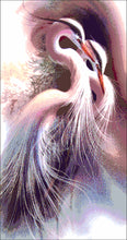 Lade das Bild in den Galerie-Viewer, Stickpackung mit Perlen "Harmonie"