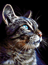 Lade das Bild in den Galerie-Viewer, Stickpackung mit Perlen "Imperator"