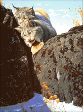 Lade das Bild in den Galerie-Viewer, Stickpackung mit Perlen "Jäger"