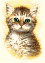 Lade das Bild in den Galerie-Viewer, Stickpackung mit Perlen "Katzenbaby"