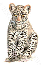 Lade das Bild in den Galerie-Viewer, Stickpackung mit Perlen "Kleines Raubtier"