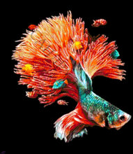 Lade das Bild in den Galerie-Viewer, Stickpackung mit Perlen "Korallen Strauß"