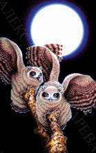 Lade das Bild in den Galerie-Viewer, Stickpackung mit Perlen "Langohr-Eulen"