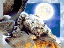 Lade das Bild in den Galerie-Viewer, Stickpackung mit Perlen "Leopard unter dem Mond"