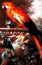 Lade das Bild in den Galerie-Viewer, Stickpackung mit Perlen "Papagei"